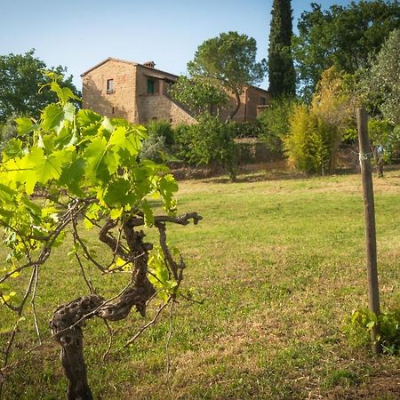Holiday Home Arpicella Pienza Esterno foto