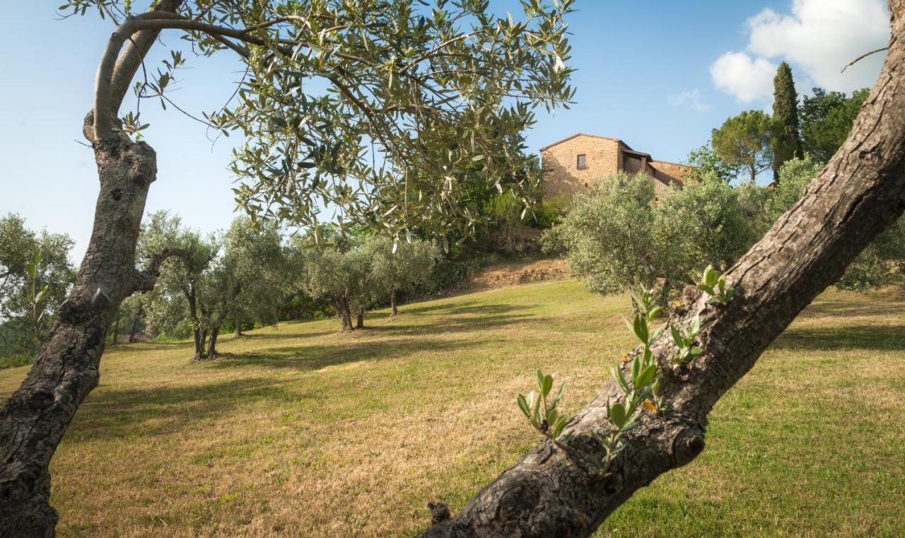 Holiday Home Arpicella Pienza Esterno foto