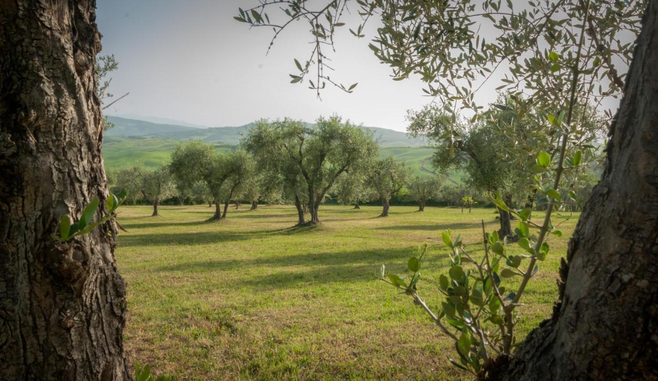 Holiday Home Arpicella Pienza Esterno foto