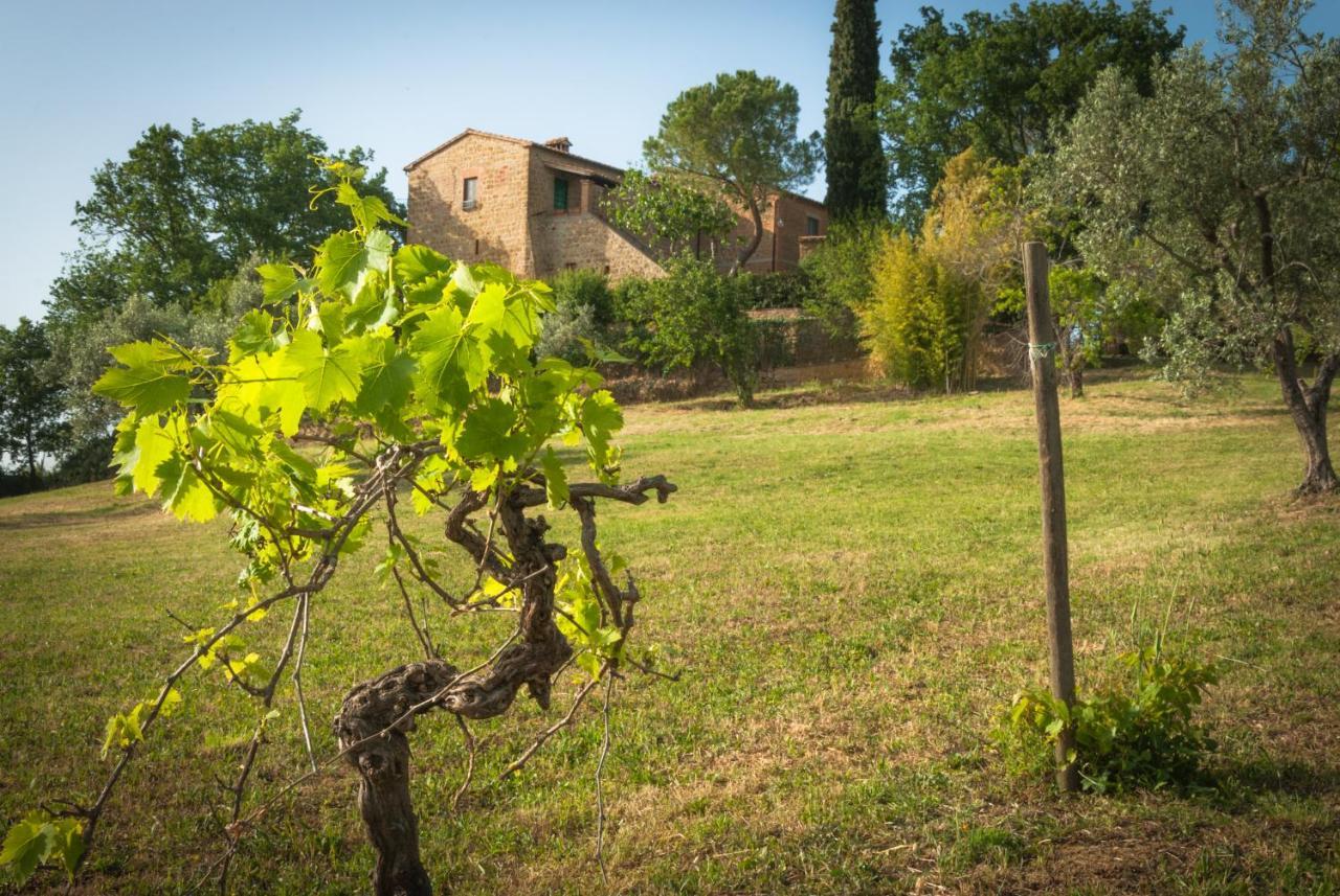 Holiday Home Arpicella Pienza Esterno foto